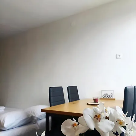 דירה Quiet And Comfortable For Four לובליאנה